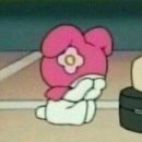 데이바이