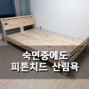 편백산림욕장 진입로 | 자면서도 피톤치드 산림욕- 후지히노끼 편백침대