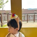 아가헤어 - 해운대구 | 아가헤어