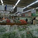 봄·초롱 하우스 이미지