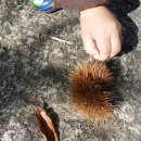 정림농장 이미지