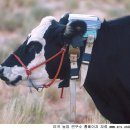초원개발 이미지