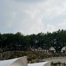 합천글램핑 | [합천여행/글램핑장/별보다글램핑] 시설 좋고 깔끔한 감성 글램핑 후기