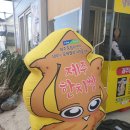 제주한치빵 이미지