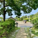 숲길 이미지