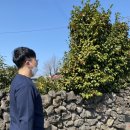 타베니스테이 | 제주 애월 에어비앤비 숙소 타베니스테이, 타베니 식당 후기