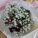 커피플라워 Daum카페