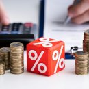 주식회사알파카부동산중개법인 이미지