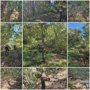 명곡동189 이미지