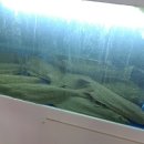 달미회수산