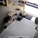 냥코캐슬 이미지