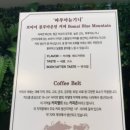 30초커피 네이버블로그