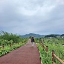 남산교앞 이미지