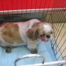 김정복 동물병원 이미지