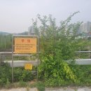 미리내 행정사사무소 이미지