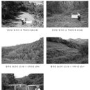 구산면538 이미지