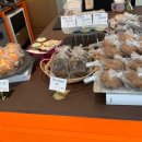 쎄종블레 이미지