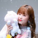 베이비프라자 이미지