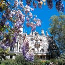 그해 바다 이미지