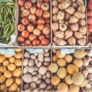 훈이유통 이미지