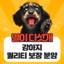 플레이독 파주본점 이미지