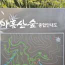 부산송정시랑리129 | 부산 여행 #3/아홉산 숲 /해동용궁사/주차료 입장료/여행후기