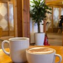 자미애견 이미지