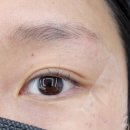 동춘당로114번길 | 대전 속눈썹펌 속눈썹 연장 잘하는곳 송촌동 브로우아이 펌포인트 후기