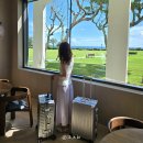 하나더 짐 | 내돈내산 인생캐리어 추천 | 리드볼트 쿼디 24인치- 써보고 하나 더 산 솔직 후기 / AS후기