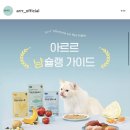 아르르(Arr) 이미지