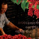 술을 알면 세상이 즐겁다 이미지