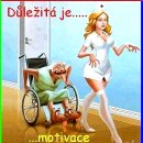 모티베이스