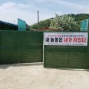 돼지사수