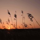 [수요걷기] 9월 10일 15시 남산 팔각정 이미지