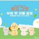 도그인 그레이 | 왓도그캣 무료 펫 선물 이벤트 참여방법 및 포로리 강아지 유모차 후기