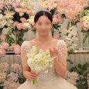 [W-13] 조슈아벨브라이덜 본식 드레스 어두운홀 비즈 드레스 아린뉴 후기