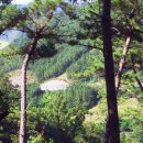 신송산2구 이미지