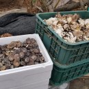 다문북길 이미지