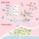 김밥마을 일원2호점 | 2026 광양 매화축제 기간 주차장 셔틀버스 개화율 입장료 총정리