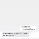 영덕꽃집 - 영덕군 군청길 106-1 | 영덕꽃집
