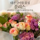 3565 | [대전꽃집추천] 갈마동꽃집 블리스 대전어버이날 카네이션 꽃배달