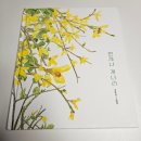 오윤정 | 초등 봄 그림책 추천 개나리를 새롭게 보게 되는 그림책 언제나 개나리 후기