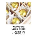 북두칠성한의원 네이버블로그