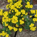 동래문화회관 소극장 이미지