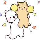 레드(RED)헤어샵