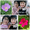 즐거운 하모니카 교실 이미지