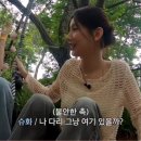 사진찍는여자