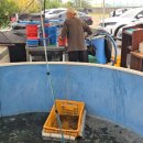 쌍봉로 | 화성 대하수산 외식공간 솔직후기 – 왕새우구이부터 새우 라면까지 가족 외식 찐 맛집!