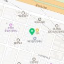 시바견 분양 루이몽 강남본점 이미지