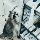 즐거운 동물병원 이미지